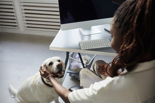 image for Take Your Dog to Work Day: Why Manners Matter More Than Ever